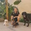 Raul Pitarch Educación Y Paseos Caninos