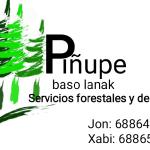 Piñupe Baso Lanak