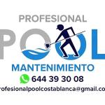 Profesional Pool Mantenimiento