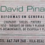 Reformas David Pina