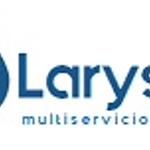 Larysol Multiservicios