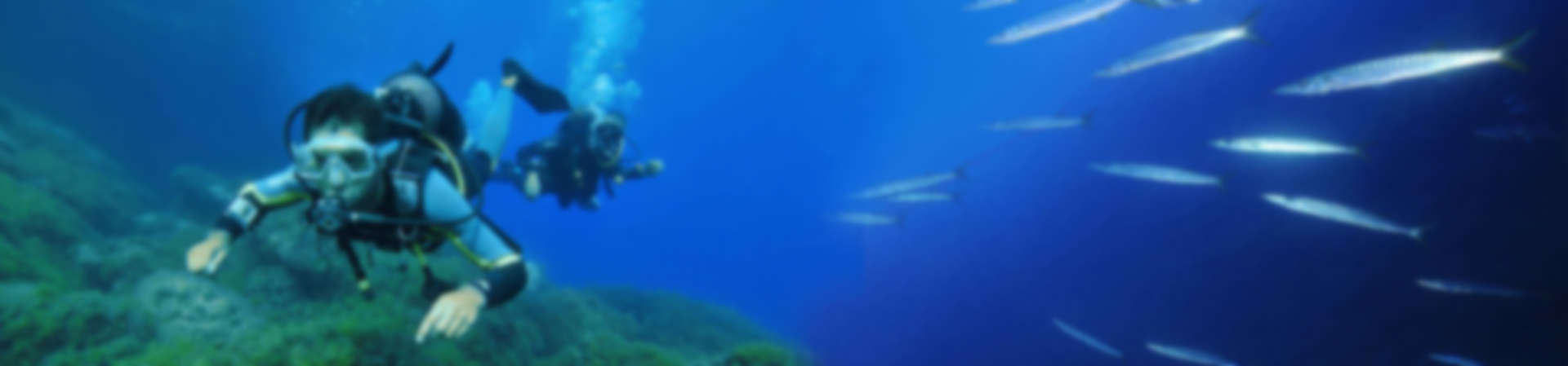 Fotografía subacuática