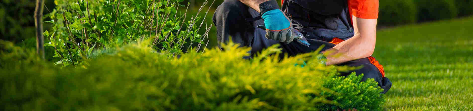 Empresas de jardinería