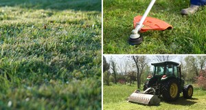 ¿Cuánto cuesta desbrozar una parcela o terreno?