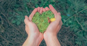 ¿Cuánto cuesta un Estudio de Impacto Ambiental? | Precios en 2025