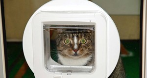 ¿Cuánto cuesta instalar una gatera? | Precios en 2025