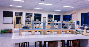 ¿Cuánto cuestan unas clases particulares de bioquímica? Precios en 2025