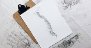 ¿Cuánto cuesta un quiropráctico? Precios en 2025