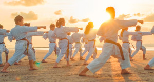 ¿Cuánto cuestan las clases de karate?