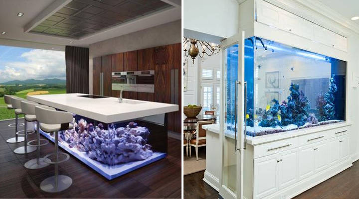 Cómo decorar la casa con un acuario