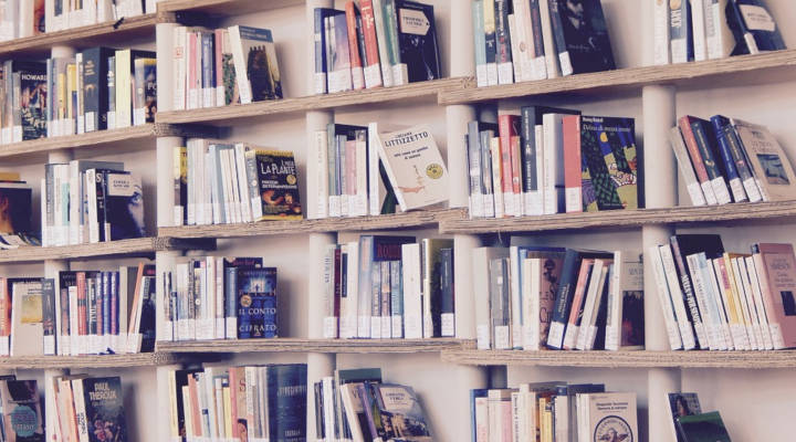 4 Increíbles Ideas para Organizar tu Biblioteca en Casa