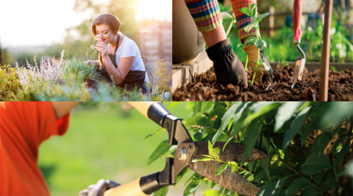 Cómo Conseguir Clientes para Jardinería, Jardineros y Empresas de Jardinería