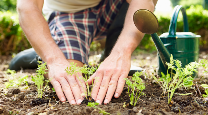 Cómo Montar una Empresa de Jardinería en España