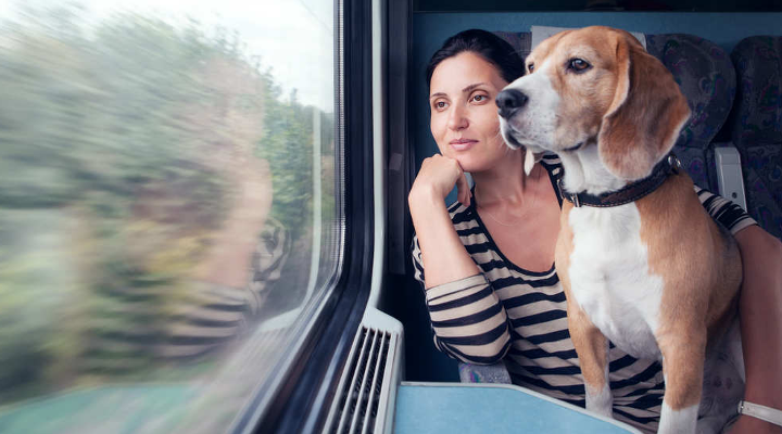 viajar con mascotas