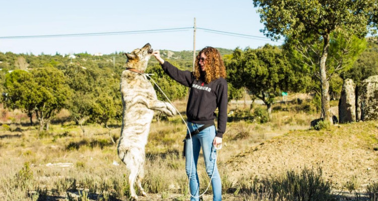 Profesionales Destacados de Cronoshare: Entrevista a Raquel González (COMUNICAN.es)