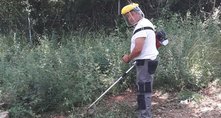 Profesionales Destacados Jaime Bazán