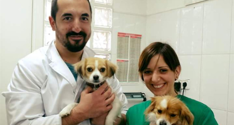 Profesionales Destacados de Cronoshare: Entrevista a Clínica Veterinaria Quatre Vents