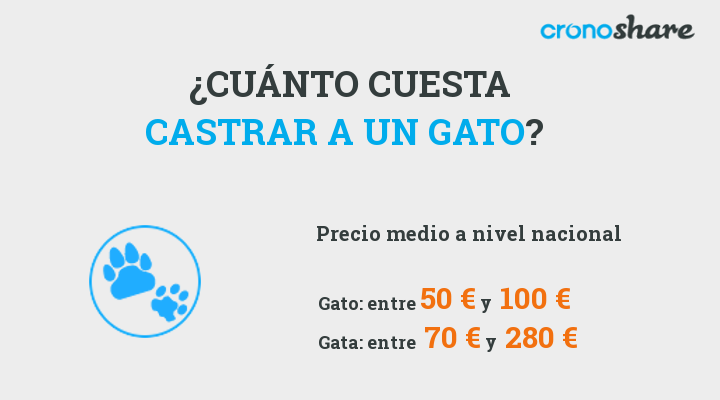 precio de castrar un gato o una gata