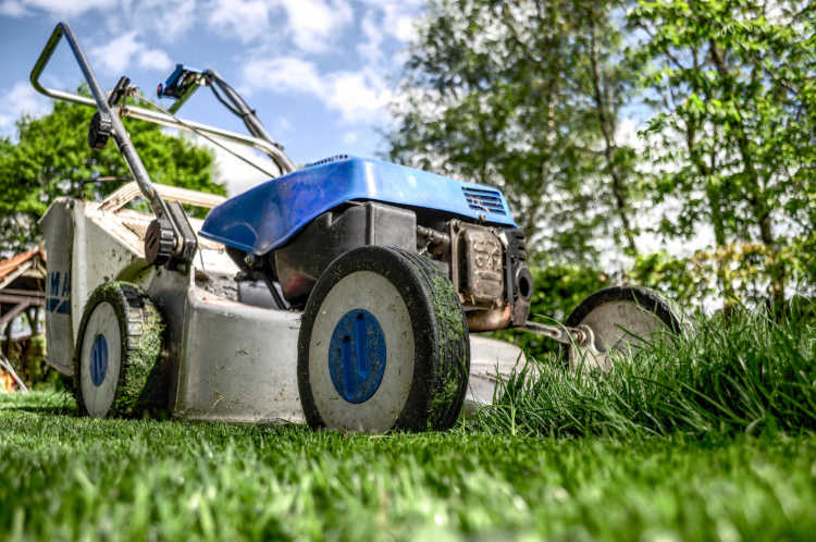 cómo conseguir clientes jardinería