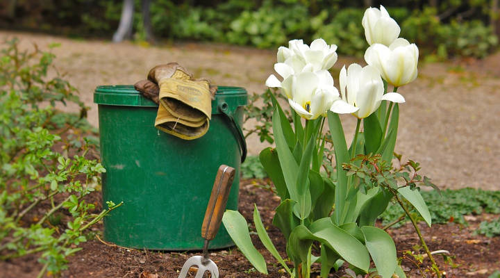 Quanto custa a manutenção de jardins