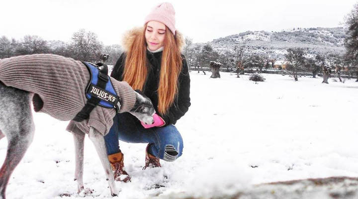 Profesionales Destacados Asesoría Canina