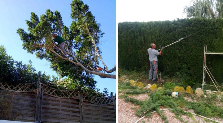 Profesionales Destacados de Cronoshare: Entrevista a Manuel de CMM Jardineros