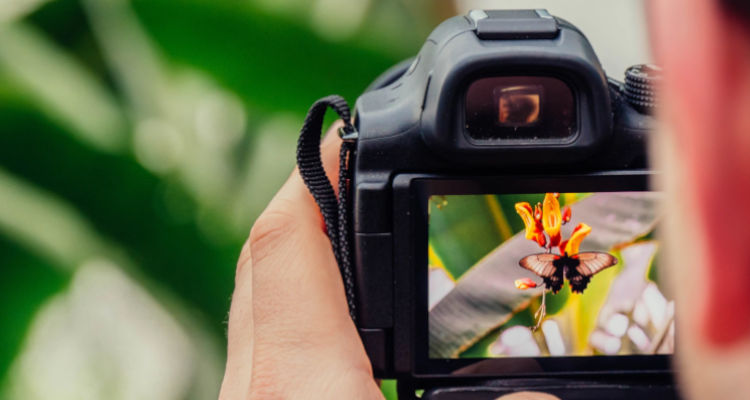 Prezzo dei corsi di fotografia