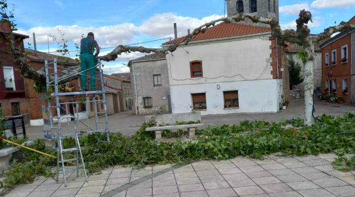 Profesionales Destacados Jafjardines