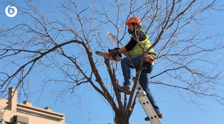 Profesionales Destacados Sistemas Integrales Raff