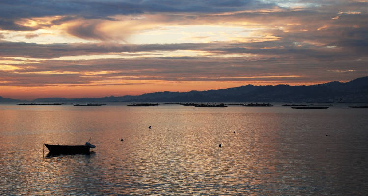 Cuánto cuesta instalar placas solares en Vigo