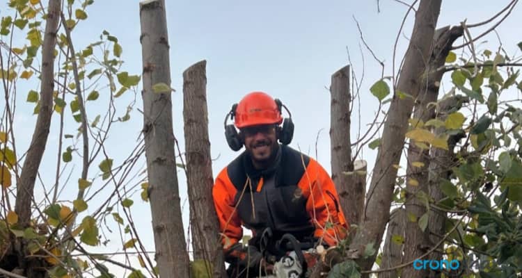 Profesionales Destacados Arce jardinería y paisajismo