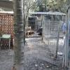 Treball en protectores