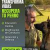 Siempre trabajamos “A favor de perro”