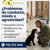 Cualquier tipo de conducta tiene solucion