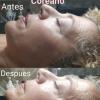 Trabajo Celulas Madre Coreano 