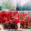 Parada de Cabeza/ Headstand