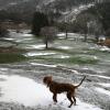 NENA en Cercedilla (Madrid)