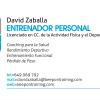 David Zaballa Entrenador