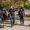 Adican  Tu Adiestrador Canino Personal A Domicilio De Confianza
