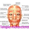 Terapia miofuncional. 