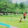 Dog Training Cantabria
