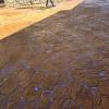 Constructiones Y Reformas Miradia Sl