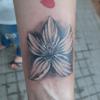 The White Rose Inktattoo