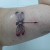 The White Rose Inktattoo