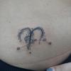 The White Rose Inktattoo