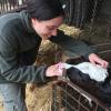 Realizando el curso como auxiliar de veterinaria