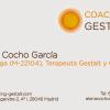 Coachinggestalt