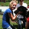 Voluntareado asociación protectora de animales 