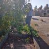 Jardinería Garea