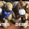 Limpieza peluches